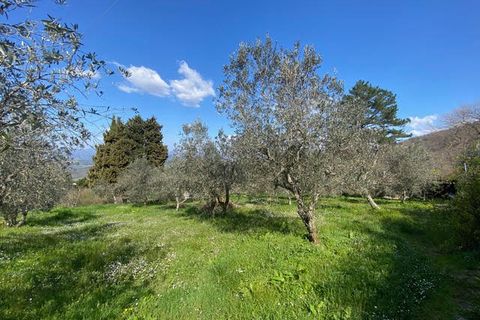 Villa i Reggello, Florence, Reggello - € 550.000 | Ref: v632321-x - foto 15