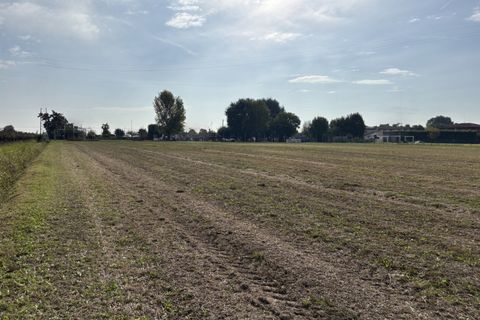 Terra a Conselve, Padua, Conselve - € 80.000 | Ref: L56 - foto 2
