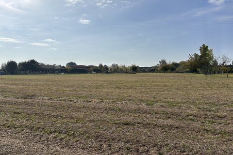 Terra a Conselve, Padua, Conselve - € 80.000 | Ref: L56 - foto 3