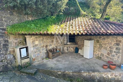 Villa i Viana do Castelo, Viana do Castelo, Viana do Castelo - € 245.000 | Ref: F958 - foto 12