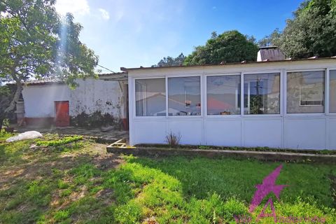 Villa i Viana do Castelo, Viana do Castelo, Viana do Castelo - € 127.500 | Ref: 126/2026 - foto 2
