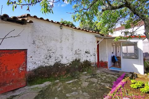 Villa i Viana do Castelo, Viana do Castelo, Viana do Castelo - € 127.500 | Ref: 126/2026 - foto 16