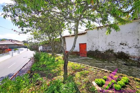Villa i Viana do Castelo, Viana do Castelo, Viana do Castelo - € 127.500 | Ref: 126/2026 - foto 19