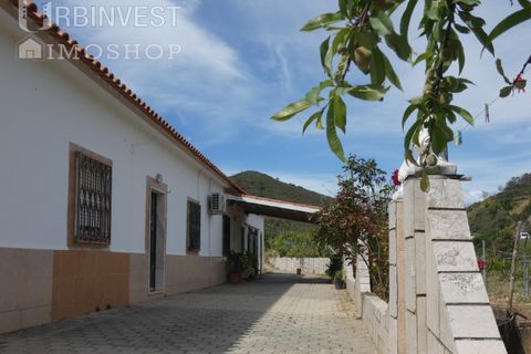 Farm i Silves, Faro, Silves - € 360.000 | Ref: AR00413 - PT - foto 2