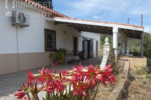 Farm i Silves, Faro, Silves - € 360.000 | Ref: AR00413 - PT - foto 3