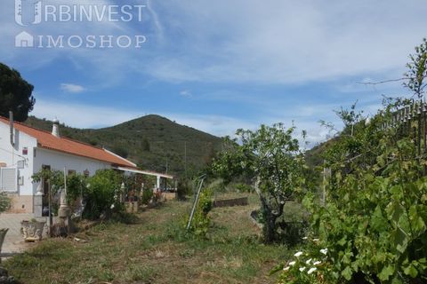 Farm i Silves, Faro, Silves - € 360.000 | Ref: AR00413 - PT - foto 10