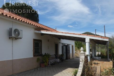 Farm i Silves, Faro, Silves - € 360.000 | Ref: AR00413 - PT - foto 14