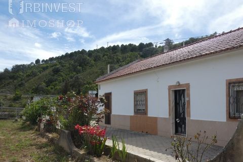 Farm i Silves, Faro, Silves - € 360.000 | Ref: AR00413 - PT - foto 15
