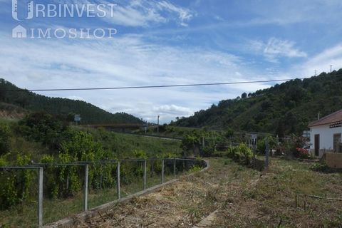 Farm i Silves, Faro, Silves - € 360.000 | Ref: AR00413 - PT - foto 16