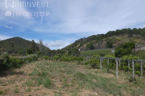 Farm i Silves, Faro, Silves - € 360.000 | Ref: AR00413 - PT - foto 18