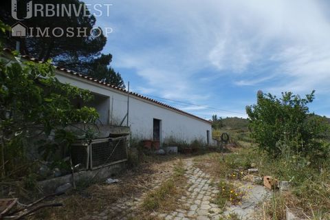 Farm i Silves, Faro, Silves - € 360.000 | Ref: AR00413 - PT - foto 21