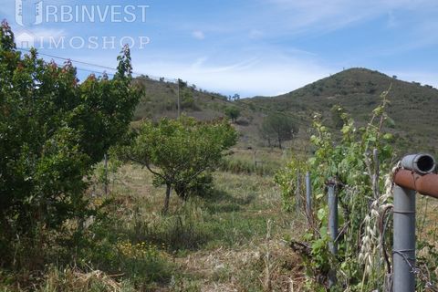 Farm i Silves, Faro, Silves - € 360.000 | Ref: AR00413 - PT - foto 22