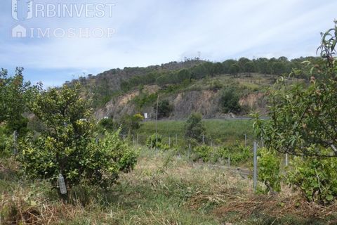 Farm i Silves, Faro, Silves - € 360.000 | Ref: AR00413 - PT - foto 23