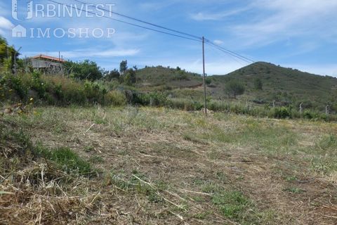 Farm i Silves, Faro, Silves - € 360.000 | Ref: AR00413 - PT - foto 25