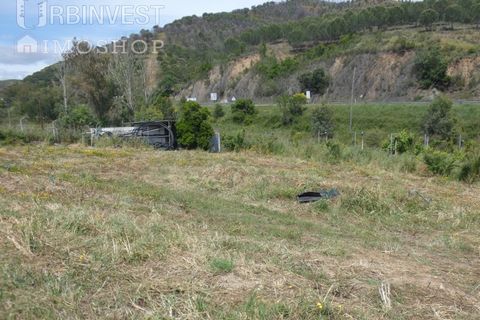 Farm i Silves, Faro, Silves - € 360.000 | Ref: AR00413 - PT - foto 27