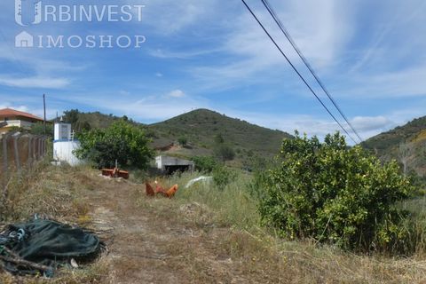 Farm i Silves, Faro, Silves - € 360.000 | Ref: AR00413 - PT - foto 29