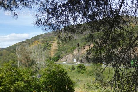 Farm i Silves, Faro, Silves - € 360.000 | Ref: AR00413 - PT - foto 30