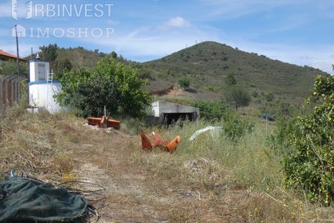 Farm i Silves, Faro, Silves - € 360.000 | Ref: AR00413 - PT - foto 31
