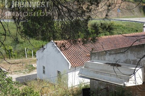 Farm i Silves, Faro, Silves - € 360.000 | Ref: AR00413 - PT - foto 33