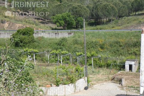 Farm i Silves, Faro, Silves - € 360.000 | Ref: AR00413 - PT - foto 34