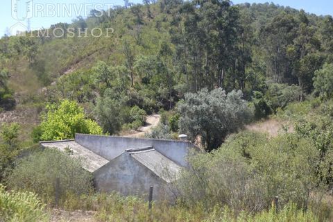 Helårsgrund i Silves, Faro, Silves - € 450.000 | Ref: AR00412 - PT - foto 1