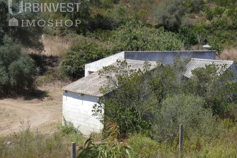 Helårsgrund i Silves, Faro, Silves - € 450.000 | Ref: AR00412 - PT - foto 2