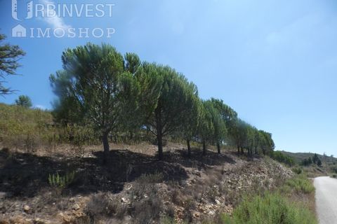 Helårsgrund i Silves, Faro, Silves - € 450.000 | Ref: AR00412 - PT - foto 3