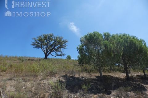 Helårsgrund i Silves, Faro, Silves - € 450.000 | Ref: AR00412 - PT - foto 4