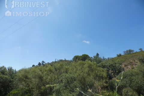 Helårsgrund i Silves, Faro, Silves - € 450.000 | Ref: AR00412 - PT - foto 6
