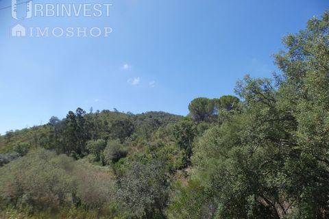 Helårsgrund i Silves, Faro, Silves - € 450.000 | Ref: AR00412 - PT - foto 7