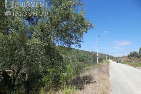 Helårsgrund i Silves, Faro, Silves - € 450.000 | Ref: AR00412 - PT - foto 8