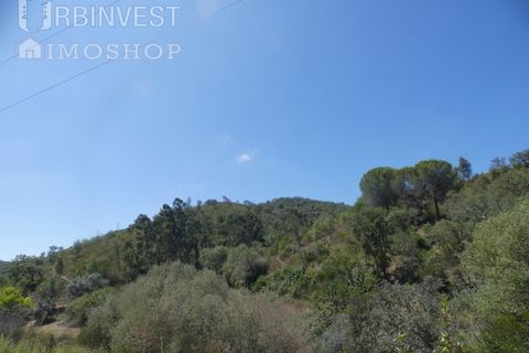 Helårsgrund i Silves, Faro, Silves - € 450.000 | Ref: AR00412 - PT - foto 9