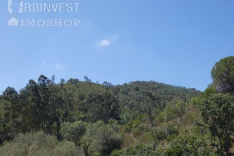 Helårsgrund i Silves, Faro, Silves - € 450.000 | Ref: AR00412 - PT - foto 11
