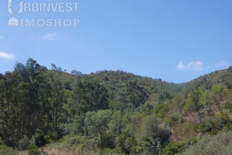 Helårsgrund i Silves, Faro, Silves - € 450.000 | Ref: AR00412 - PT - foto 12
