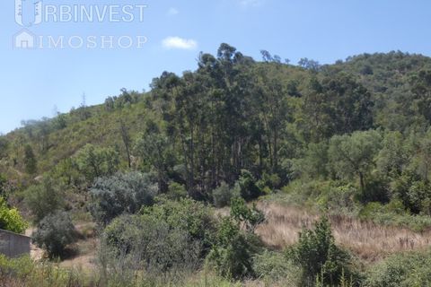 Helårsgrund i Silves, Faro, Silves - € 450.000 | Ref: AR00412 - PT - foto 14