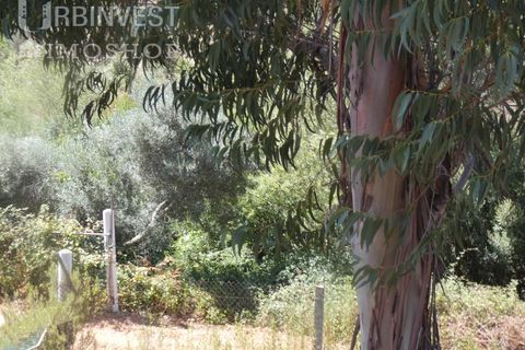 Helårsgrund i Silves, Faro, Silves - € 450.000 | Ref: AR00412 - PT - foto 15