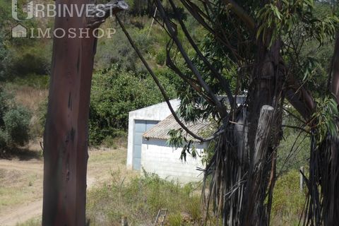 Helårsgrund i Silves, Faro, Silves - € 450.000 | Ref: AR00412 - PT - foto 16