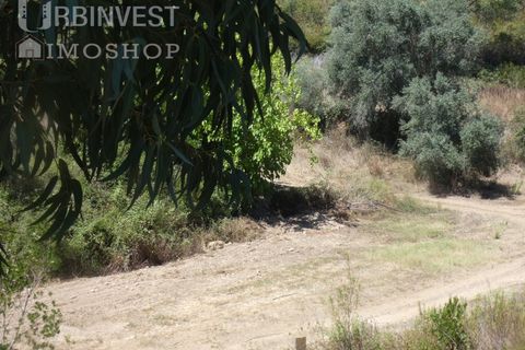 Helårsgrund i Silves, Faro, Silves - € 450.000 | Ref: AR00412 - PT - foto 17