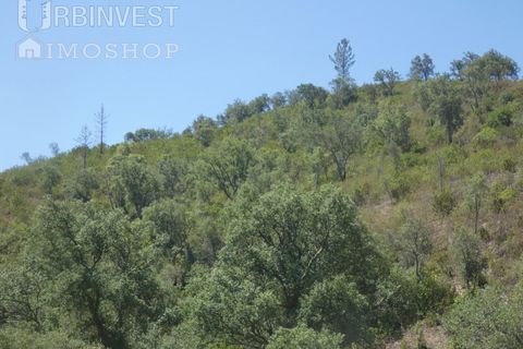 Helårsgrund i Silves, Faro, Silves - € 450.000 | Ref: AR00412 - PT - foto 18