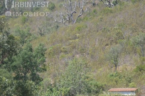 Helårsgrund i Silves, Faro, Silves - € 450.000 | Ref: AR00412 - PT - foto 19