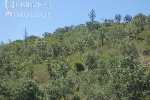 Helårsgrund i Silves, Faro, Silves - € 450.000 | Ref: AR00412 - PT - foto 21