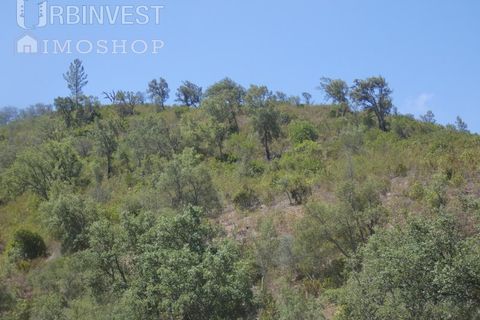 Helårsgrund i Silves, Faro, Silves - € 450.000 | Ref: AR00412 - PT - foto 22