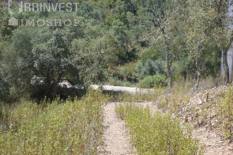 Helårsgrund i Silves, Faro, Silves - € 450.000 | Ref: AR00412 - PT - foto 24