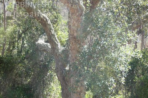 Helårsgrund i Silves, Faro, Silves - € 450.000 | Ref: AR00412 - PT - foto 25