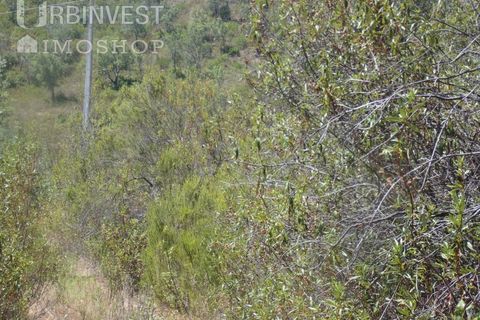 Helårsgrund i Silves, Faro, Silves - € 450.000 | Ref: AR00412 - PT - foto 28