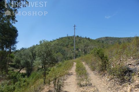 Helårsgrund i Silves, Faro, Silves - € 450.000 | Ref: AR00412 - PT - foto 29