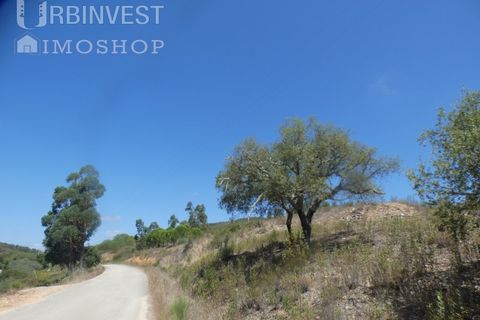 Helårsgrund i Silves, Faro, Silves - € 450.000 | Ref: AR00412 - PT - foto 31