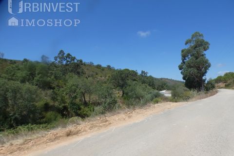 Helårsgrund i Silves, Faro, Silves - € 450.000 | Ref: AR00412 - PT - foto 33