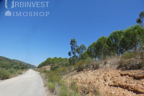 Helårsgrund i Silves, Faro, Silves - € 450.000 | Ref: AR00412 - PT - foto 34
