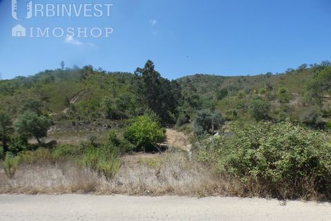 Helårsgrund i Silves, Faro, Silves - € 450.000 | Ref: AR00412 - PT - foto 35